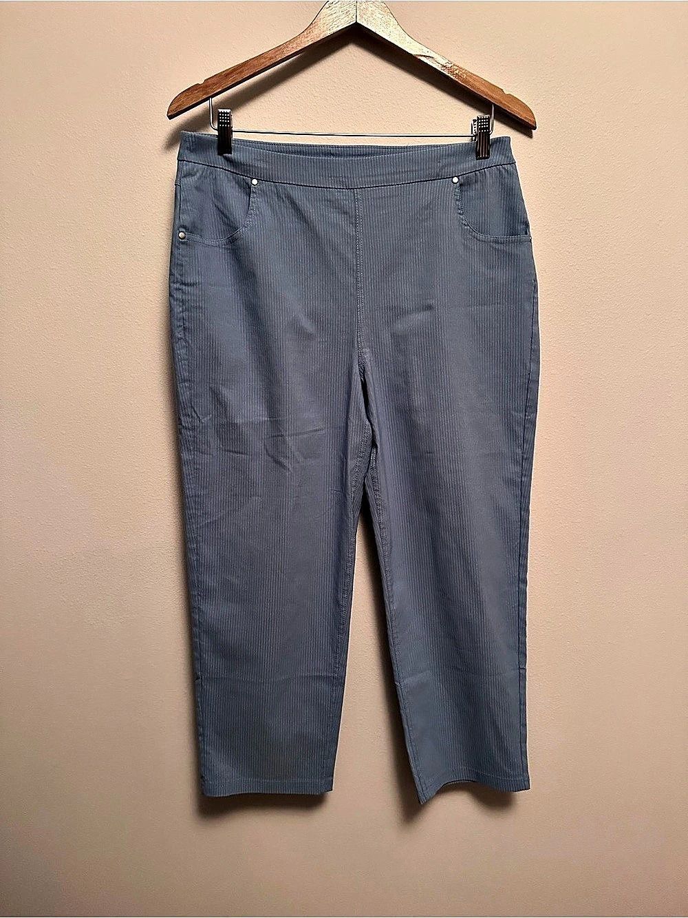 Hue Everyday Stretch Pull-On Capri Striped Ankle Pants Blue Large
